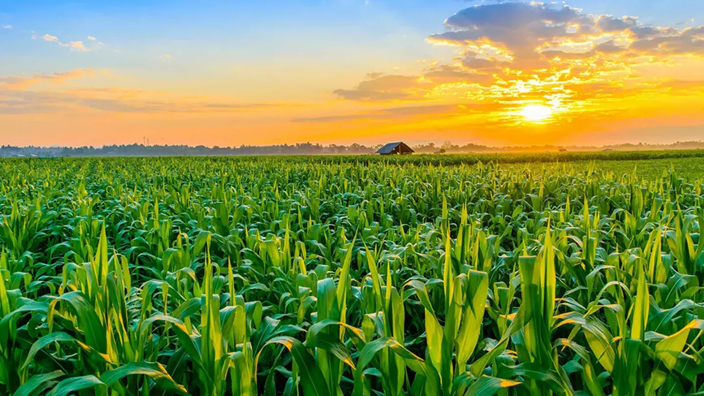 Digitalización de Facturas